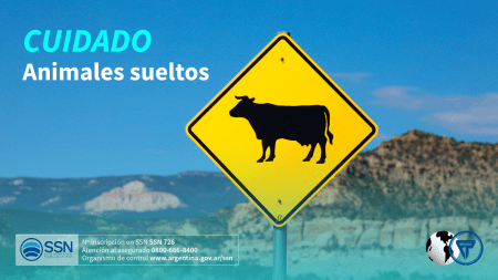 Animales en la ruta