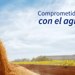 Protegé tu cosecha desde el minuto cero con los Seguros para el Agro