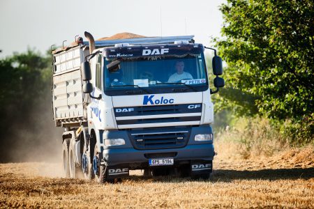 Seguro para Transporte de Cereales: la protección de tu carga en buenas manos