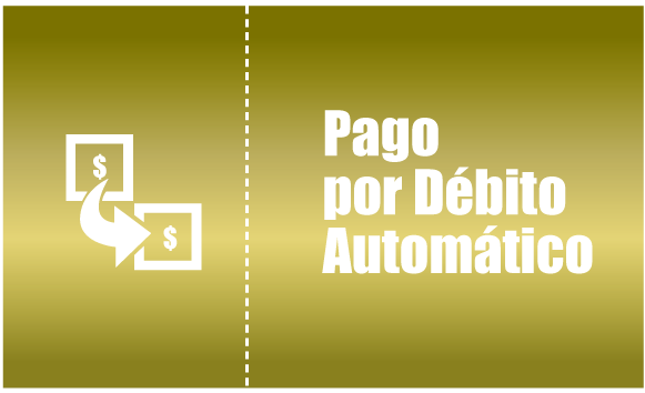 01 Debito Automatico