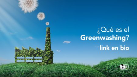 Greenwashing: empresas “verdes” pero poco ecológicas