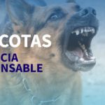 nota tenencia responsable mascotas 25 6 2021