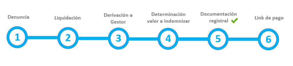 Paso a paso Robo total