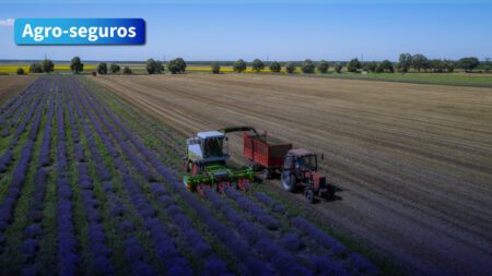 Seguros agrícolas: Comprometidos con el AGRO desde el primer paso