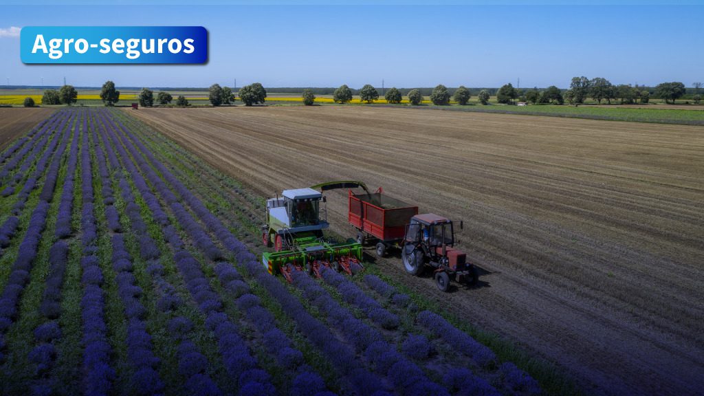 seguros agrícolas en el campo argentino