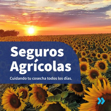 10.10.02 AGRO Carrusel Pieza 1 de 4