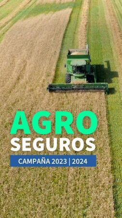 REEL Seguros AGRO thumb1