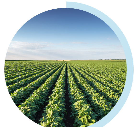 Banner Riesgos Agropecuarios