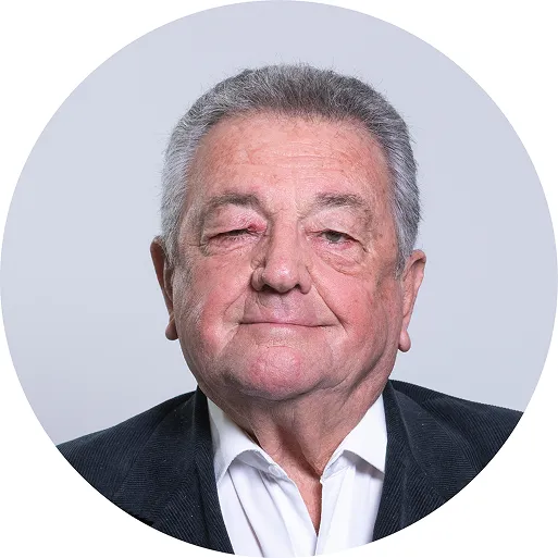 director titular 1.2