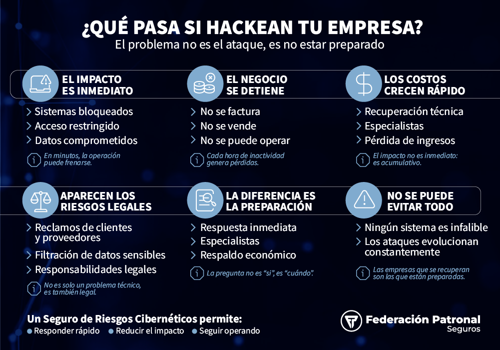 Infografia Ciberseguridad Desktop