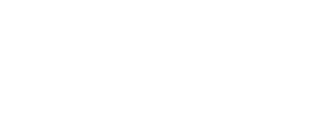 Lopez Villagra Logo Blanco