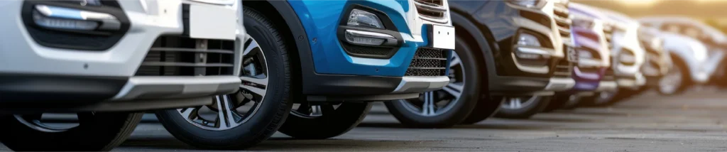 Todo riesgo VS Tercero completo