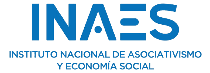 logo inaes transparente e1753799052885
